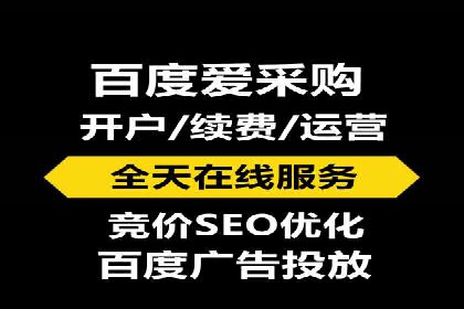 SEM公司案例分析：搜索引擎优化策略与执行